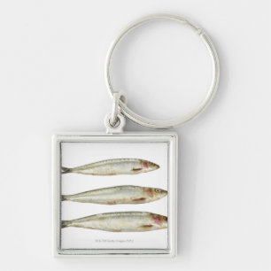 Sardines (Pilchards) 2 Sleutelhanger