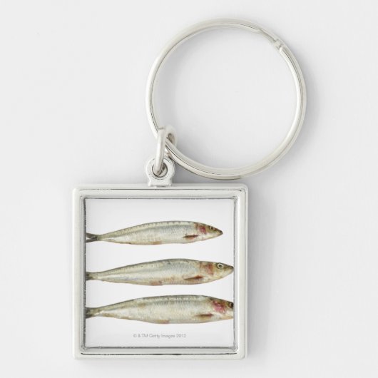 Sardines (Pilchards) 2 Sleutelhanger (Voorkant)