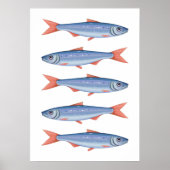Sardines Poster (Voorkant)