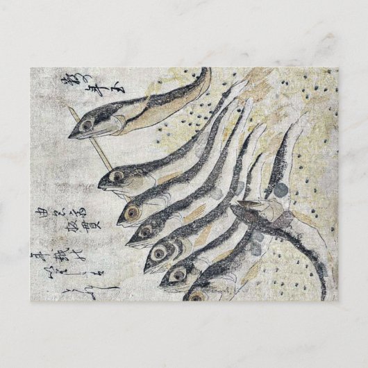 Sardines van Teisai, Hokuba Ukiyoe Briefkaart (Voorkant)