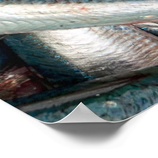 sardines, vers poster (Hoek)