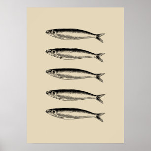sardinevis poster