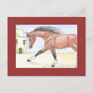 "Saree bint Sehkit" Briefkaart