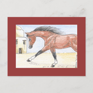 "Saree bint Sehkit" Briefkaart