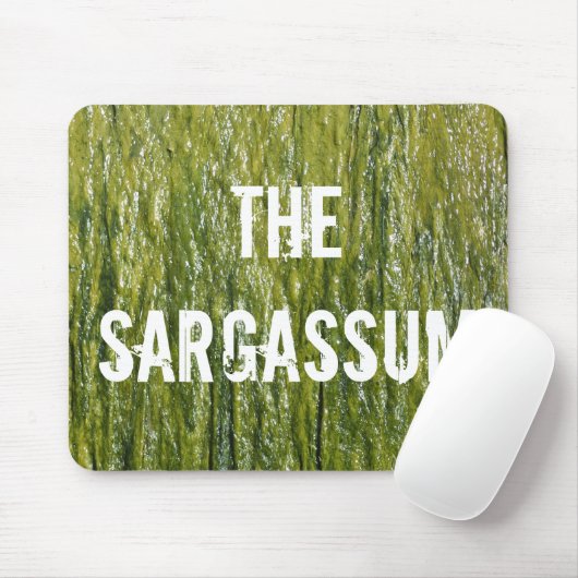 SARGASSUM! MUISMAT (Met muis)