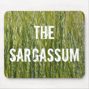 SARGASSUM! MUISMAT