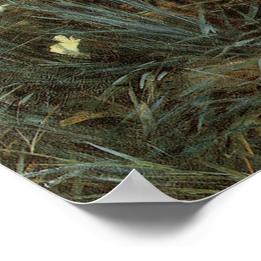 Sargent Carnance Lily Roos Poster (Hoek)