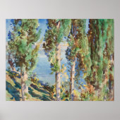 Sargent - Cypresses Poster (Voorkant)
