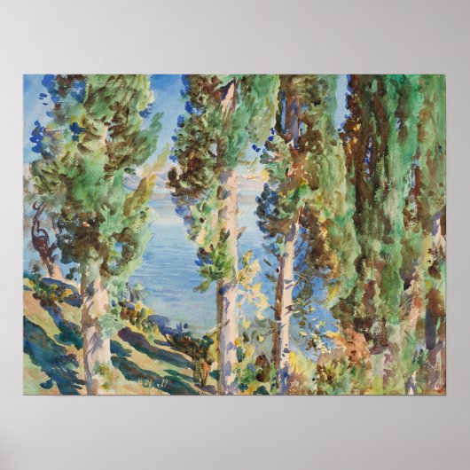 Sargent - Cypresses Poster (Voorkant)