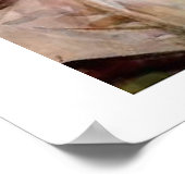 Sargent Montserrat Poster (Hoek)