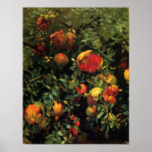 Sargent - Pomegranates Majorca 1908 Poster (Voorkant)