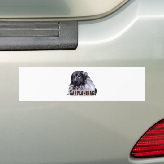 Sarplaninac Bumpersticker (Op auto)