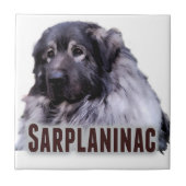 Sarplaninac Tegeltje (Voorkant)