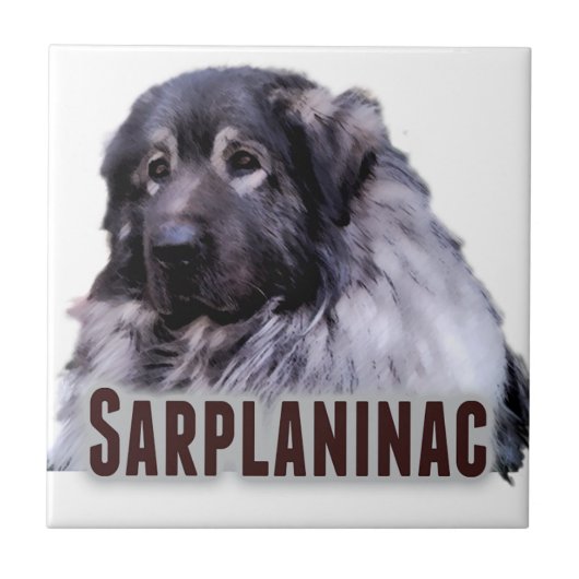 Sarplaninac Tegeltje (Voorkant)