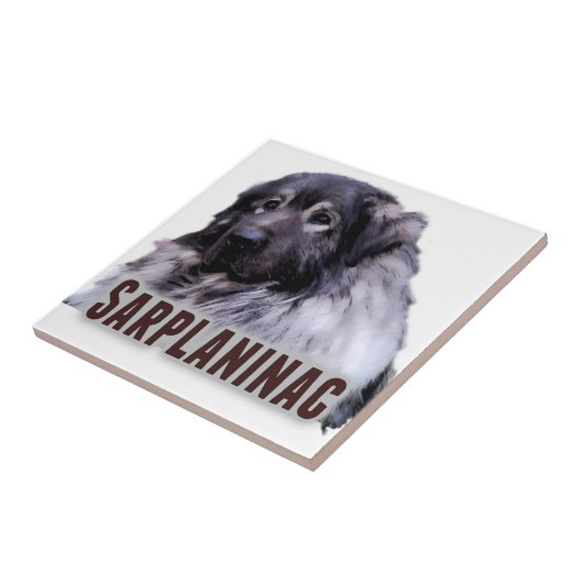 Sarplaninac Tegeltje (Zijkant)