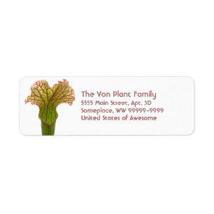 Sarracenia Pitcher Plant Etiket