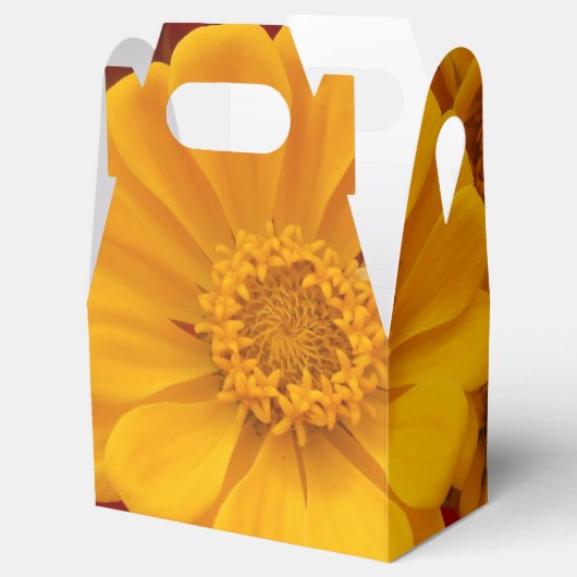 Sartain Bedankdoosjes (Geopend)