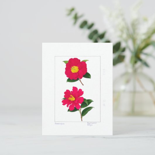 Sasanqua Plate: Ryomenko & Hiryu  Briefkaart (Staand voorkant)