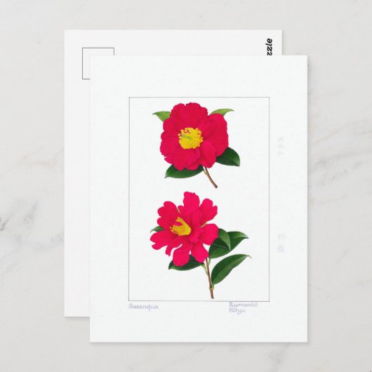 Sasanqua Plate: Ryomenko & Hiryu Briefkaart (Voorkant / Achterkant)