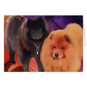 "SASHA AND CASEY" Keuzen