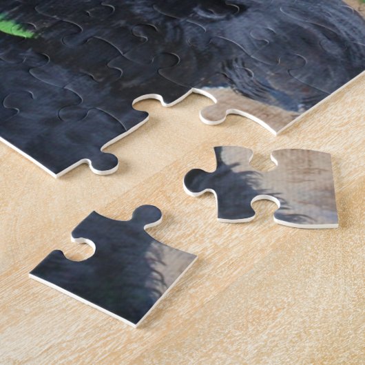 Sasha de Zwarte Schnauzer Legpuzzel (Zijkant)