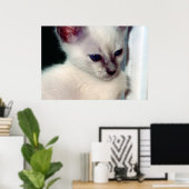 Sasha Kitten Poster (Thuiskantoor)