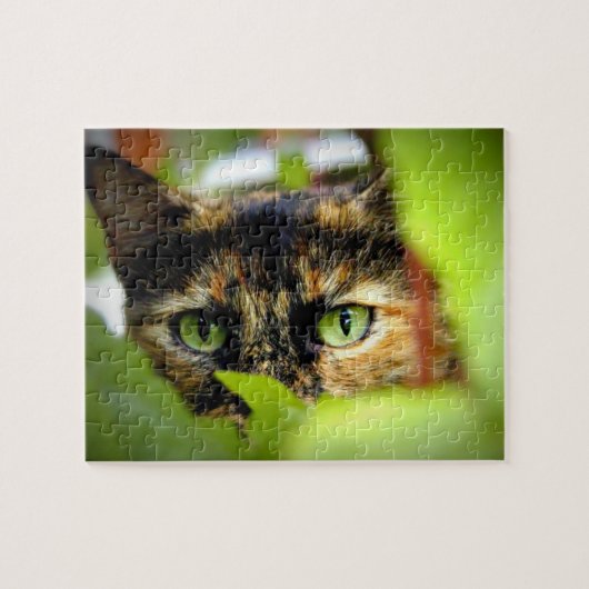 Sasha Legpuzzel (Horizontaal)