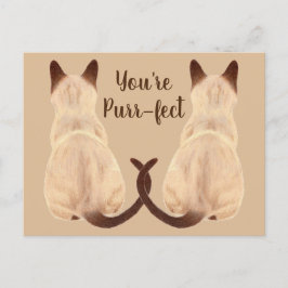 Sasha Siamese Cat Lover Back Uitzicht Je bent purr Briefkaart