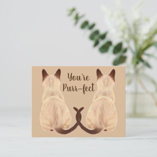 Sasha Siamese Cat Lover Back Uitzicht Je bent purr Briefkaart (Staand voorkant)