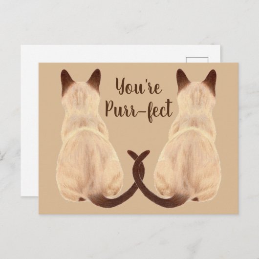 Sasha Siamese Cat Lover Back Uitzicht Je bent purr Briefkaart (Voorkant / Achterkant)