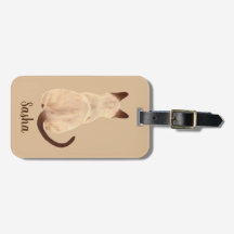 Sasha Siamese Cat Sitting Back Uitzicht Kat Aangep