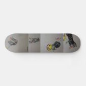 SASHA SKATEBOARD (Horizontaal)