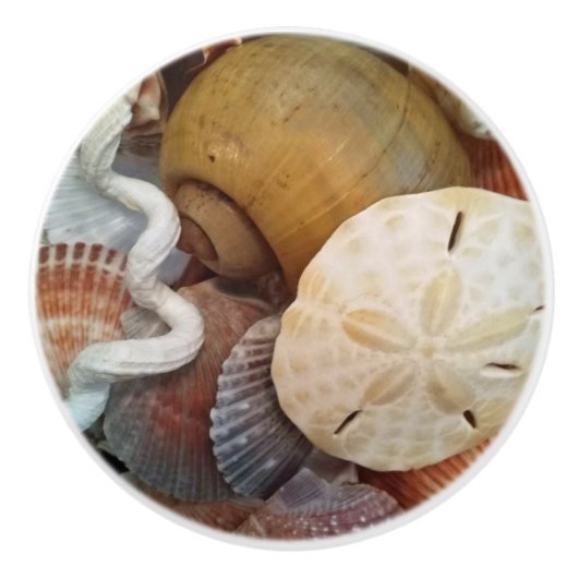 Sashells Sand Dollar Beach Thema Keramische Knop (Voorkant)