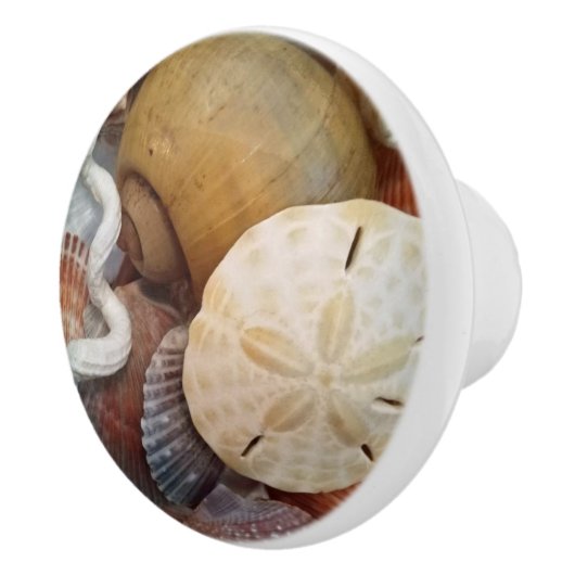 Sashells Sand Dollar Beach Thema Keramische Knop (Rechts)