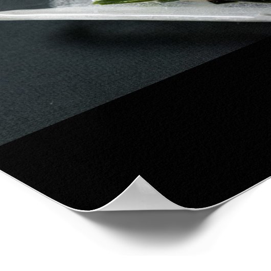 Sashimi in het Japanse Poster (Hoek)