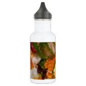 Sashimi Zalm Vis Voedsel Zeevoedsel Japans Waterfles (Links)