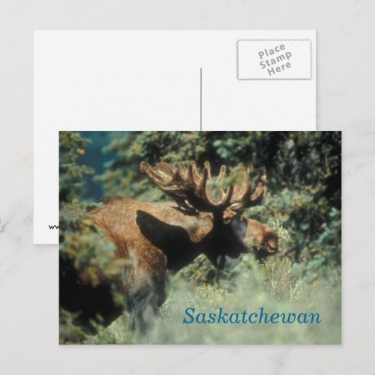 Saskatchewan-briefkaart Briefkaart (Voorkant / Achterkant)