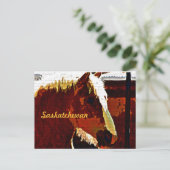 Saskatchewan, sorrel paard in profiel Briefkaart (Staand voorkant)