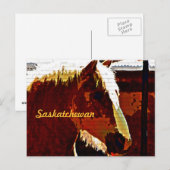 Saskatchewan, sorrel paard in profiel Briefkaart (Voorkant / Achterkant)