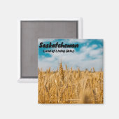 Saskatchewan Wheat Field Magneet (Voorkant / Achterkant)