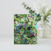 Saskatoon Briefkaart (Staand voorkant)