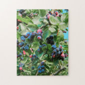 Saskatoon Legpuzzel (Verticaal)