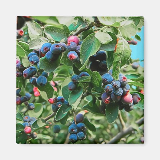 Saskatoon Magneet (Voorkant)