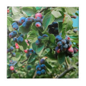 Saskatoon Tegeltje (Voorkant)