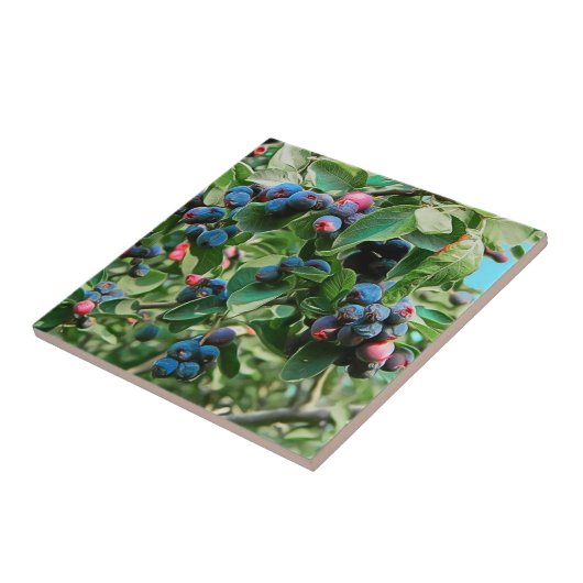 Saskatoon Tegeltje (Zijkant)