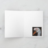 Saskia de zwemkaart kaart (Binnen)