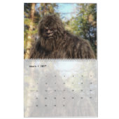 SASQUATCH BIGFOOT CALENDAR - VOLUME 3 KALENDER (Mar 2027)