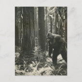 Sasquatch in het bos zwart-wit vintage briefkaart (Voorkant)