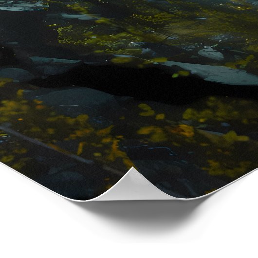 Sasquatch met uitzicht op een schilderachtig bergv poster (Hoek)