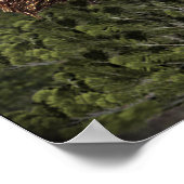 sasquatch poster (Hoek)